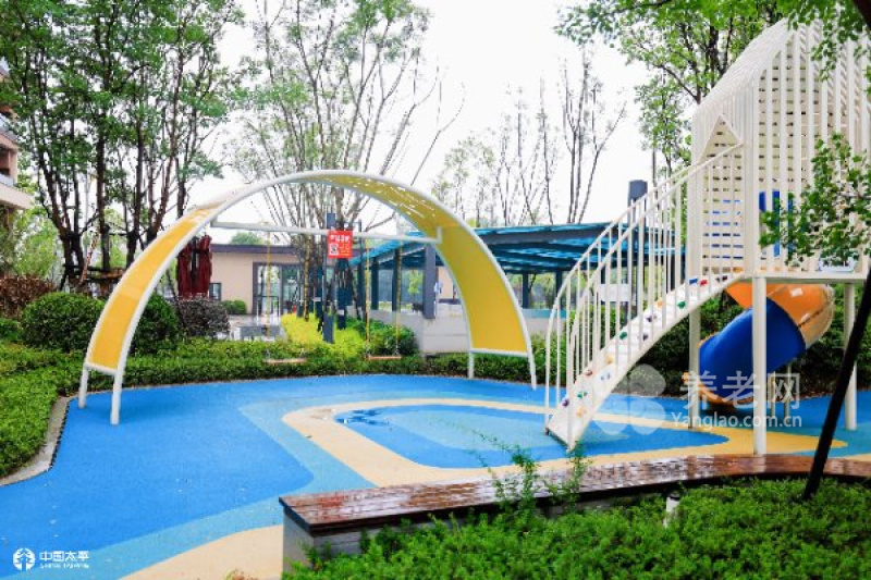 图片15