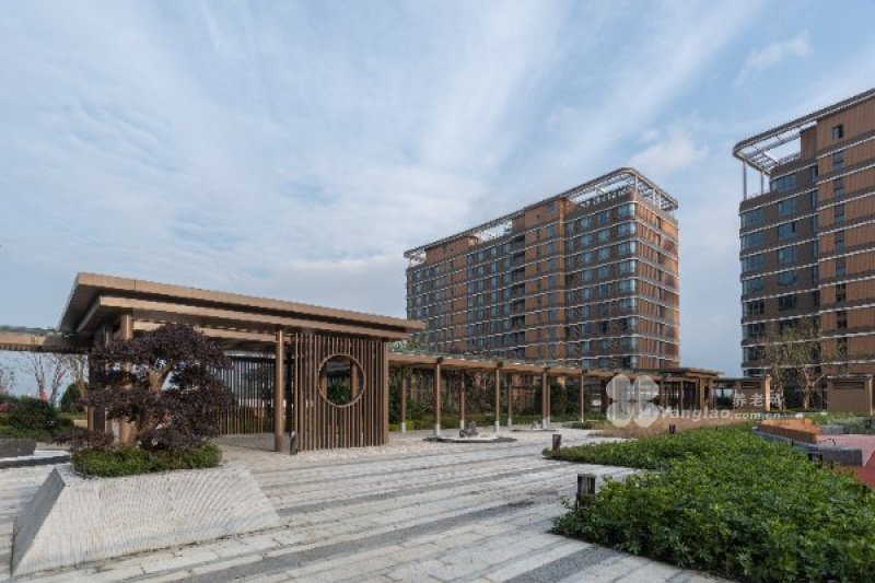 图片13