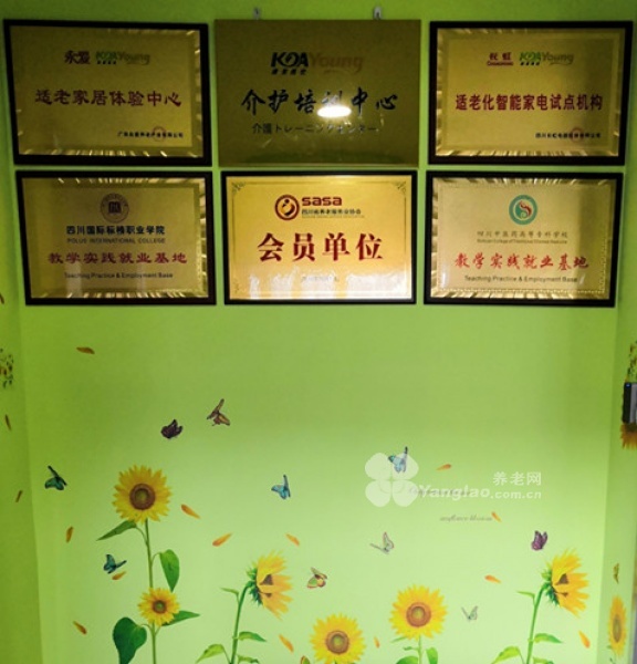 图片11