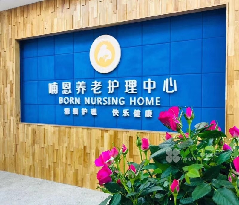 图片7