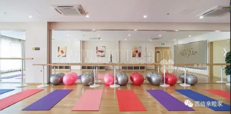 图片13