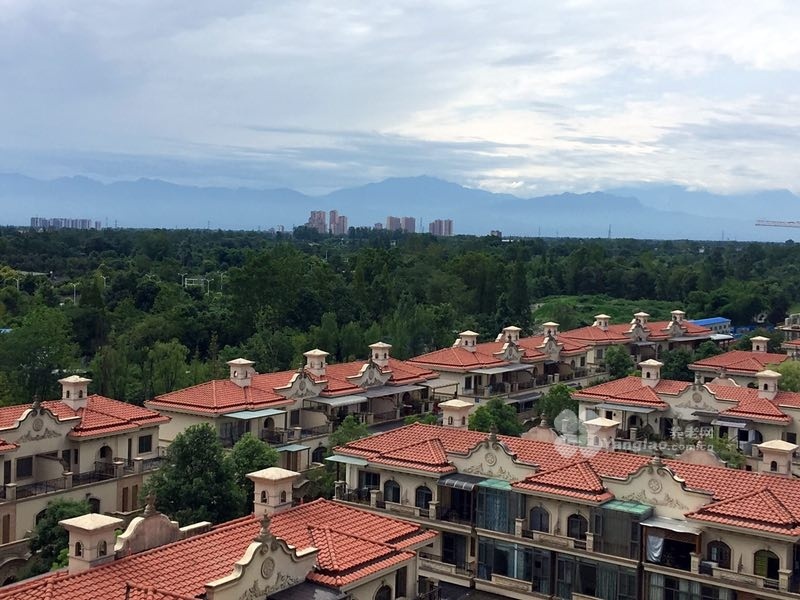 图片16