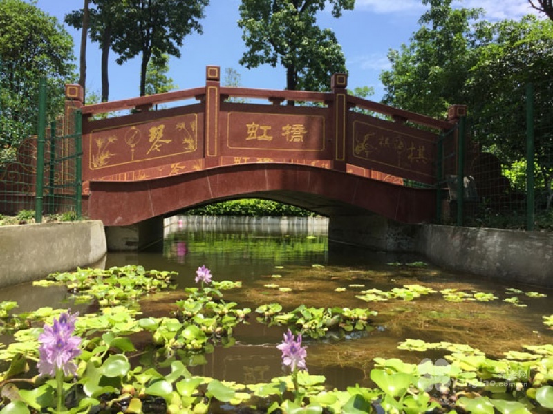 图片6