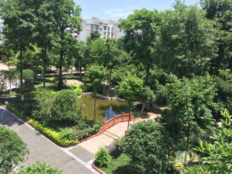 图片13