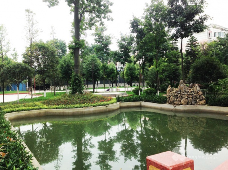 图片14