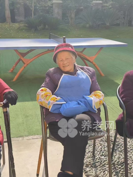 图片13