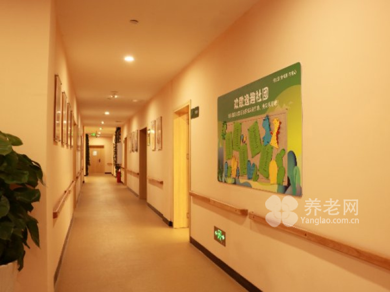 图片20