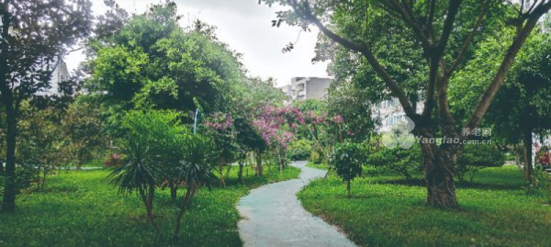 图片5