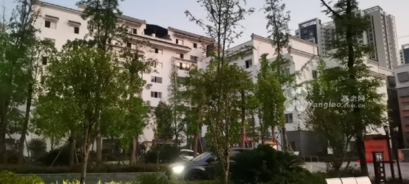 图片3