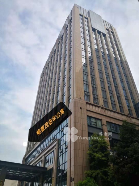 图片15