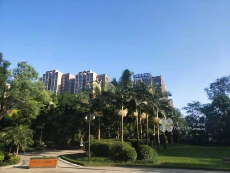 图片19