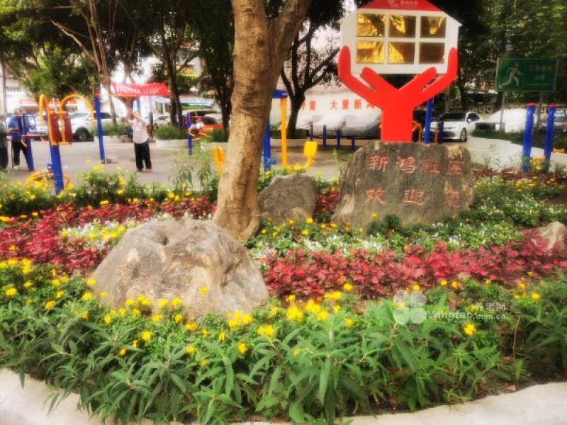 图片28