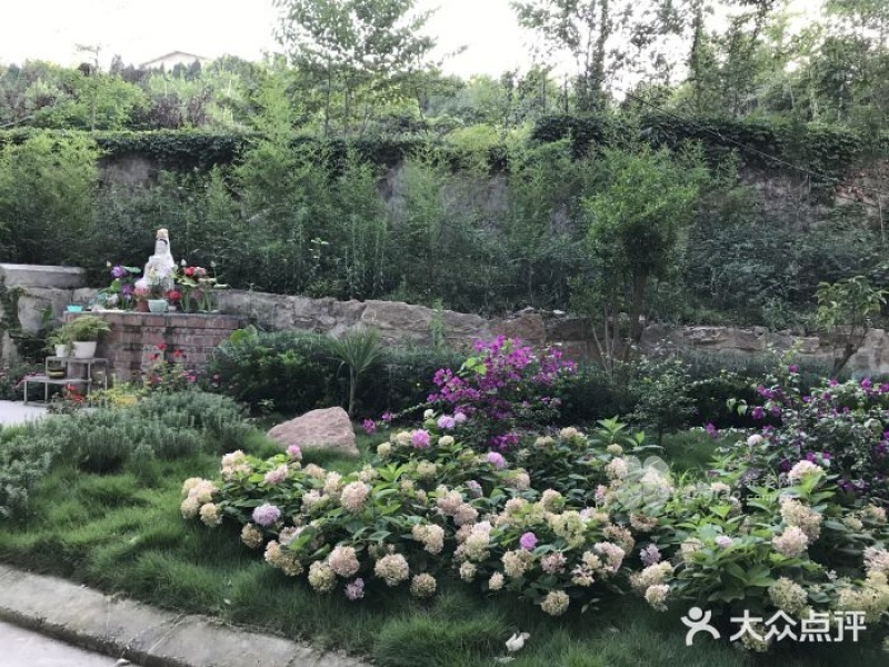 图片8