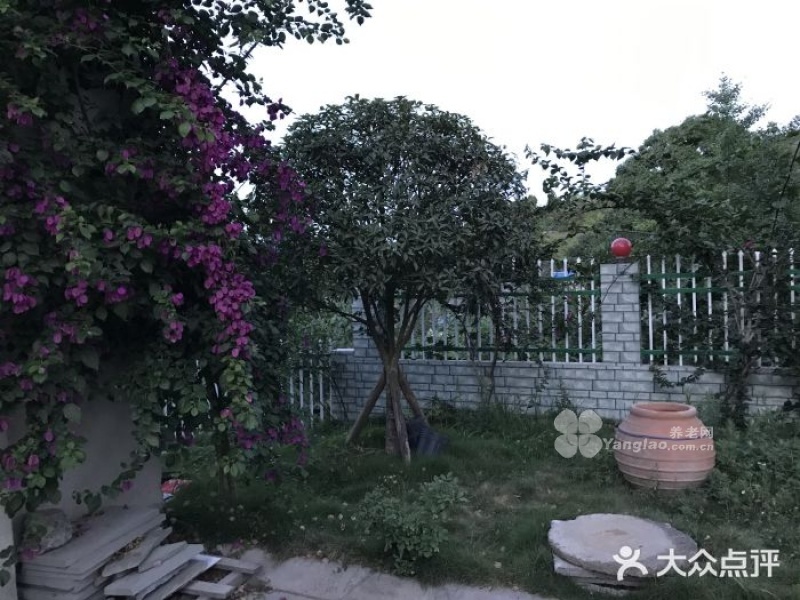 图片12