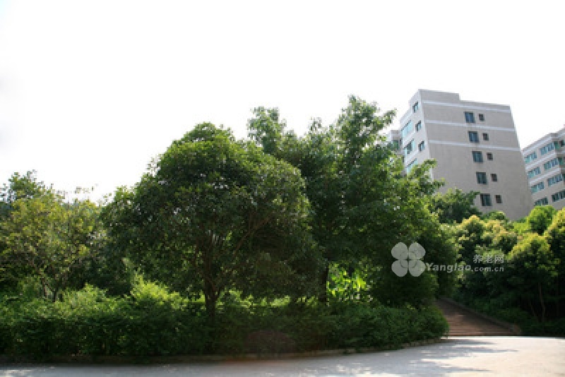 图片6