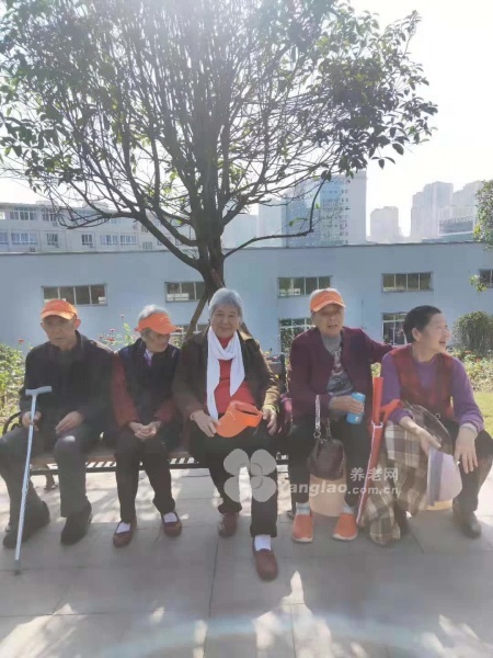 图片7