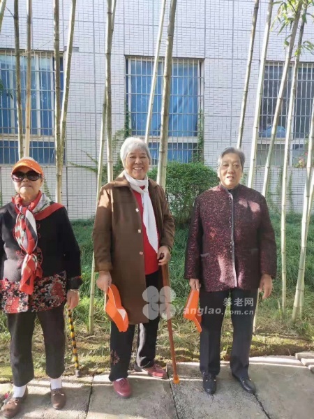 图片8