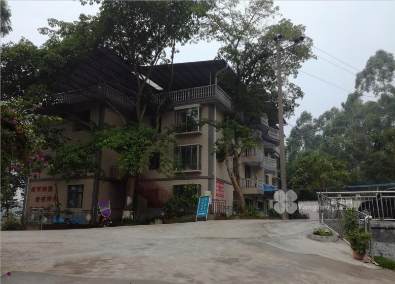 图片12