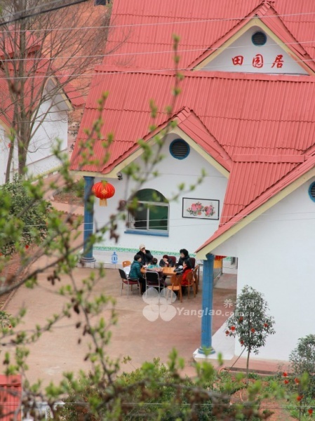 图片8