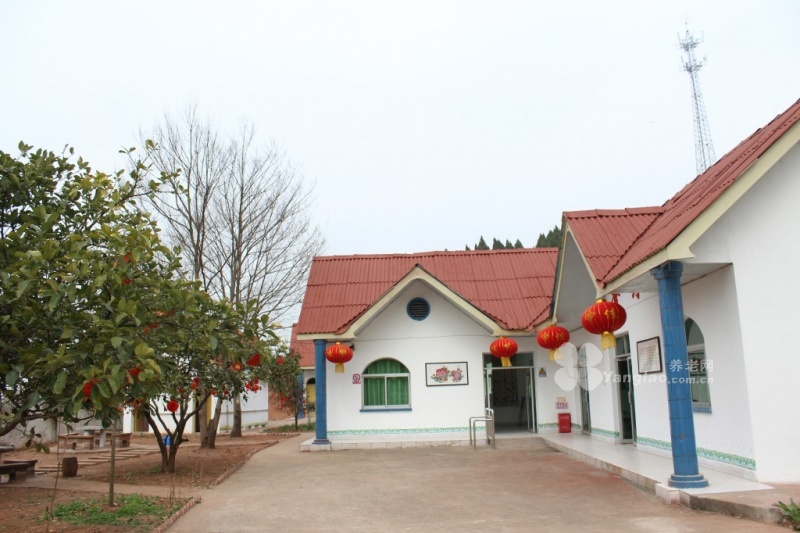 图片9