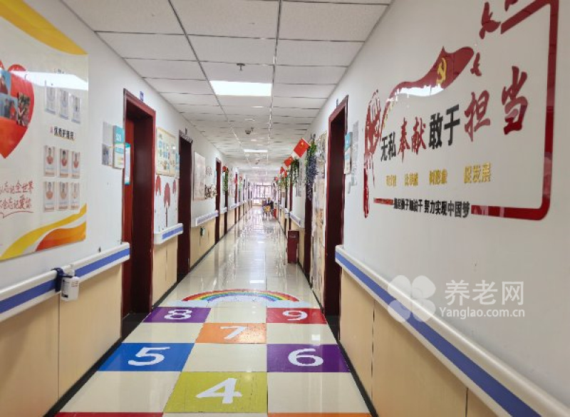 图片8